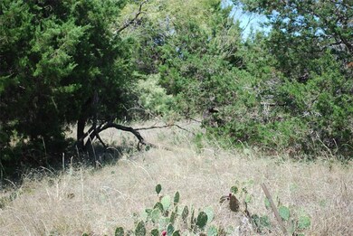 8119 High Mesa Dr, Whitney, TX 76692 - photo 6