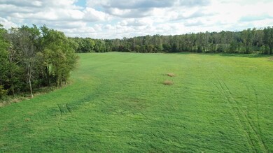 DJI_01107