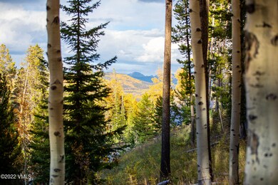 bachelor_gulch_lot_23_view_b