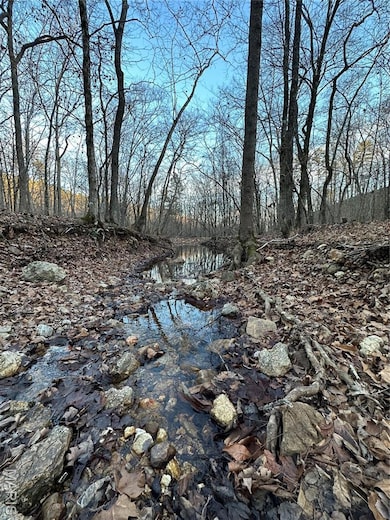 TBD County Road 426, Epps Township, MO 63901 - photo 2