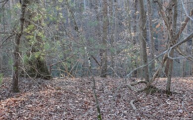 Additional View