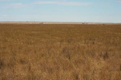 Tbd Cr 73 Lot unit WP001, Hereford, CO 80732 - photo 6