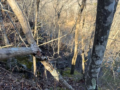60 B Tablerock Rd, Evening Shade, AR 72532 - photo 7
