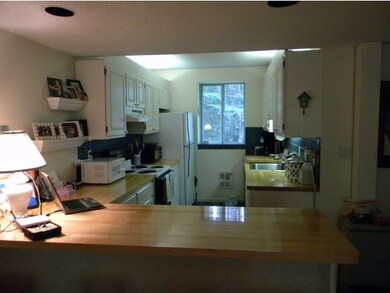 20 Avalanche Way unit 23, Waterville Valley, NH 03215 - photo 3