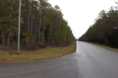 0 Seameadows Dr unit 314858, Perry, FL 32348 - photo 5