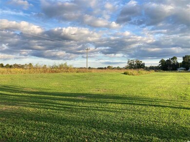 TBD State Road S-26-1019, Conway, SC 29527 - photo 2