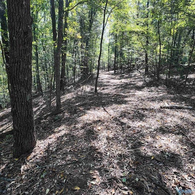 4316 Danville Rd SW, Decatur, AL 35603 - photo 5