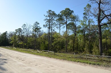 000 Sea Grass Dr unit 1, Keaton Beach, FL 32348 - photo 7