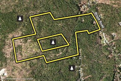 24 Brook Rd, Amherst, NH 03031 - photo 3