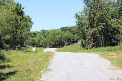 View of dirt / gravel road featuring a forest view