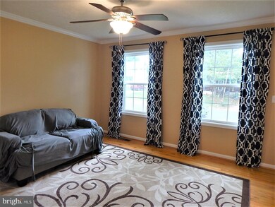 261 Queen St, Culpeper, VA 22701 - photo 3