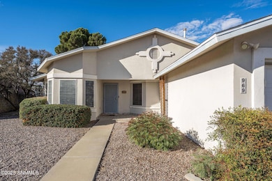 969 Ivydale Dr, Las Cruces, NM 88005 - photo 3