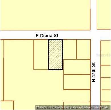 0 E Diana St unit MFRTB8348872, Tampa, FL 33610 - photo 7