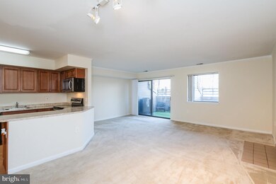 8101 Greenspring Way unit A, Owings Mills, MD 21117 - photo 6