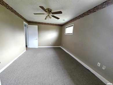 306 8th Ave S, Albany, IL 61230 - photo 7