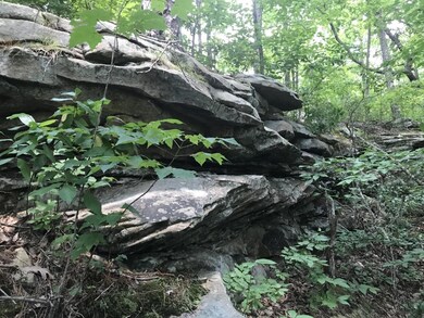 thumbnail_IMG_4525