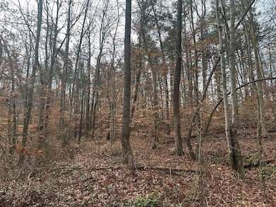 4.1 Acs Leda Rd, Nathalie, VA 24577 - photo 6