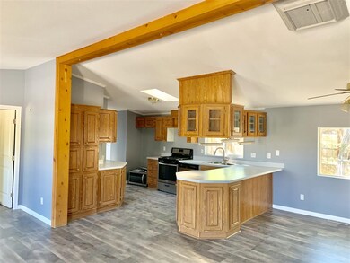 11 Flowery Ave, Dayton, NV 89403 - photo 2