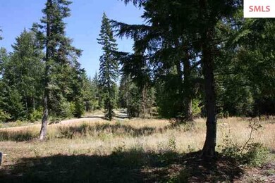 Lot 4 Larsen Ranch Ln, Sandpoint, ID 83864 - photo 6