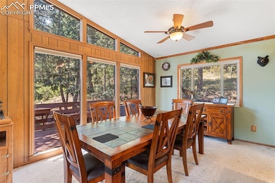 5580 Moosa Rd, Cascade, CO 80809 - photo 4