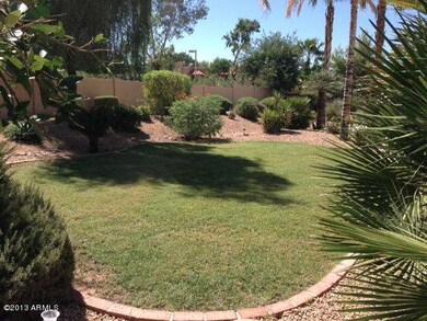 Grass Area for the Kids or Dog!