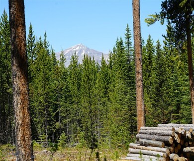 TBD Beaver Creek W, Big Sky, MT 59716 - photo 2