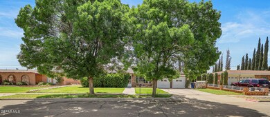 2-web-or-mls-IMG_5536