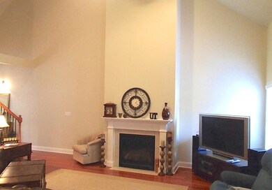 Gas Fireplace