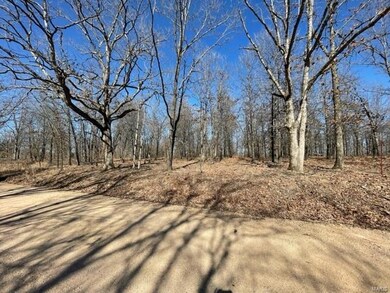 Road frontage and good place for a driveway!