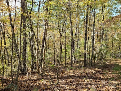 Tracts 2A & 2B Rabbit Skin Rd, Waynesville, NC 28785 - photo 5