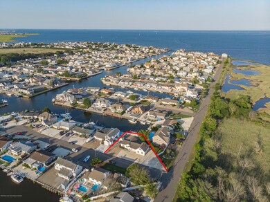 Drone View