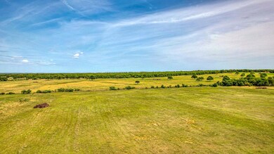 Lot 16 Cottonwood Trail, Poolville, TX 76487 - photo 2