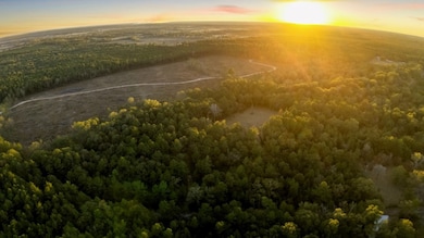 17453 Shop Branch Rd, Huntington, TX 75949 - photo 2