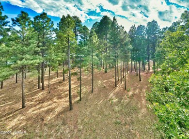 DJI_0451