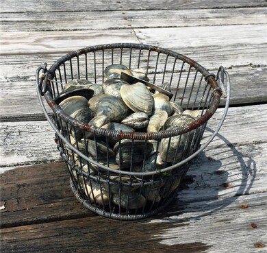 54 Salt Pond Way, Westerly, RI 02891 - photo 6