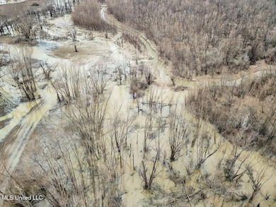 1002 Travelers Rest, Lorman, MS 39096 - photo 2