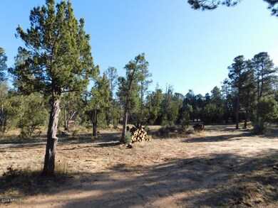 Roundup Rd (7)