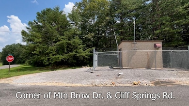 0 Cliff Springs Rd unit 24577101, Oneonta, AL 35121 - photo 4