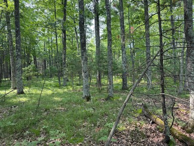 Lot 1 Thunder Hill Ln, St. Germain, WI 54558 - photo 2