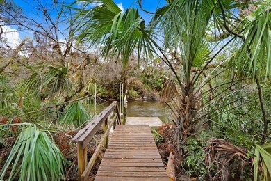 4868 Rambling River Rd, Brandon, FL 33511 - photo 6