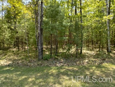 10451 Breezy R 22 Ln, Rapid River, MI 49878 - photo 5