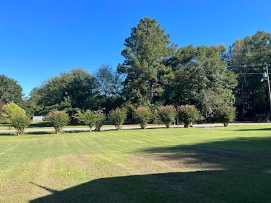 1051 Macdonald St, Tignall, GA 30668 - photo 7