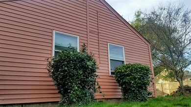 Back yard view of NE Side of house.