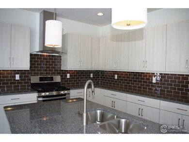 402 Cajetan St, Fort Collins, CO 80524 - photo 7