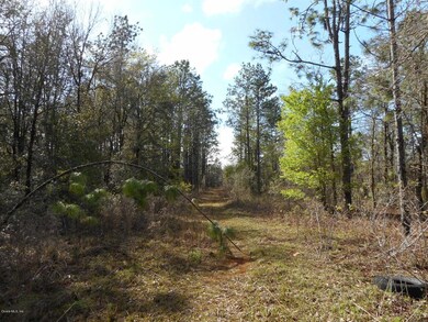 315 Acres SE 216 Ave, Morriston, FL 32668 - photo 2