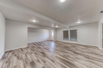 451 Woodhaven Dr, Springtown, TX 76082 - photo 4