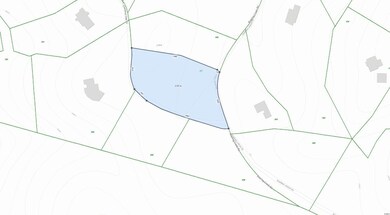 lot 297, topo, close