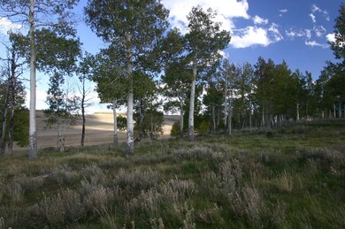 The Land for Lot 74