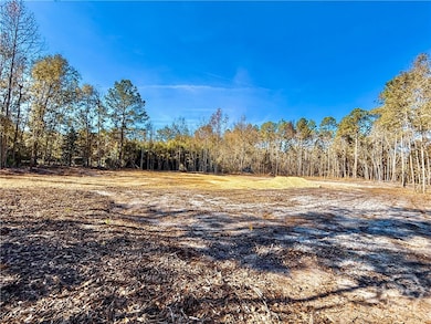 433 Exley Loop, Rincon, GA 31326 - photo 2