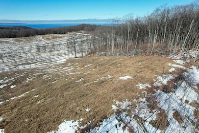 00 E Rudy Dr, Leelanau Township, MI 49670 - photo 5